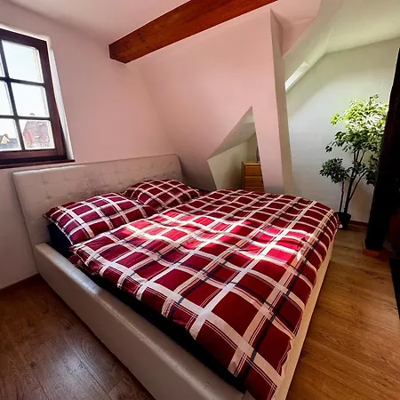 Cozy Small One Apartment