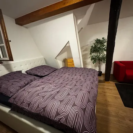 Cozy Small One Apartament