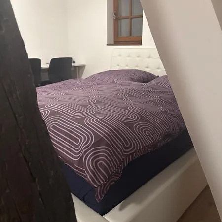Cozy Small One Room Apartment Apartment *